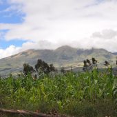  Ecuador